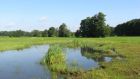 Fortschreibung des Biotopkatasters NRW im Kreis Paderborn  